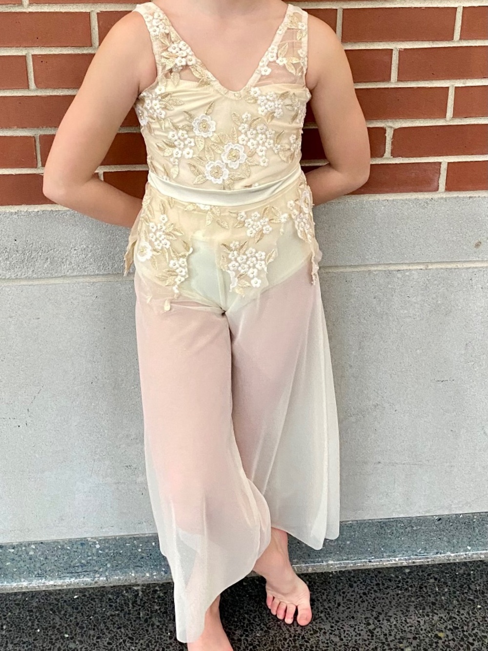 Gorgeous costume bodysuit w/ sheer pants